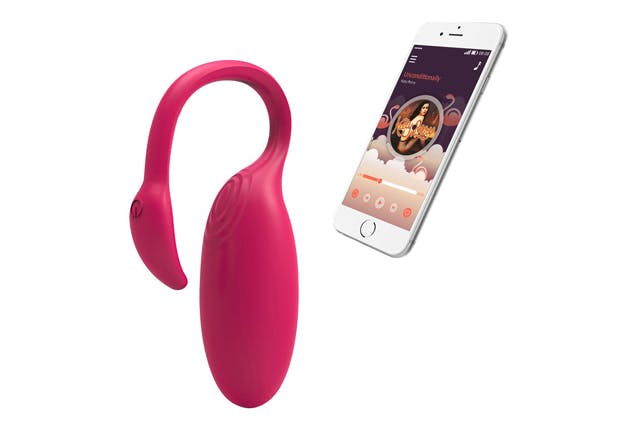 https://imgix.seoghoer.dk/media/article/flamingo_parvibrator.jpg
