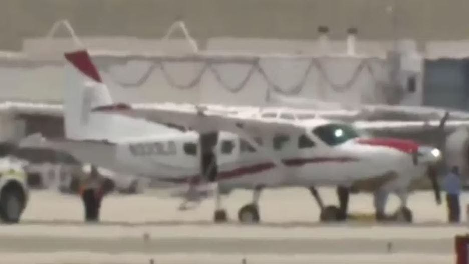 https://imgix.seoghoer.dk/media/article/fly_palm_beach.jpg