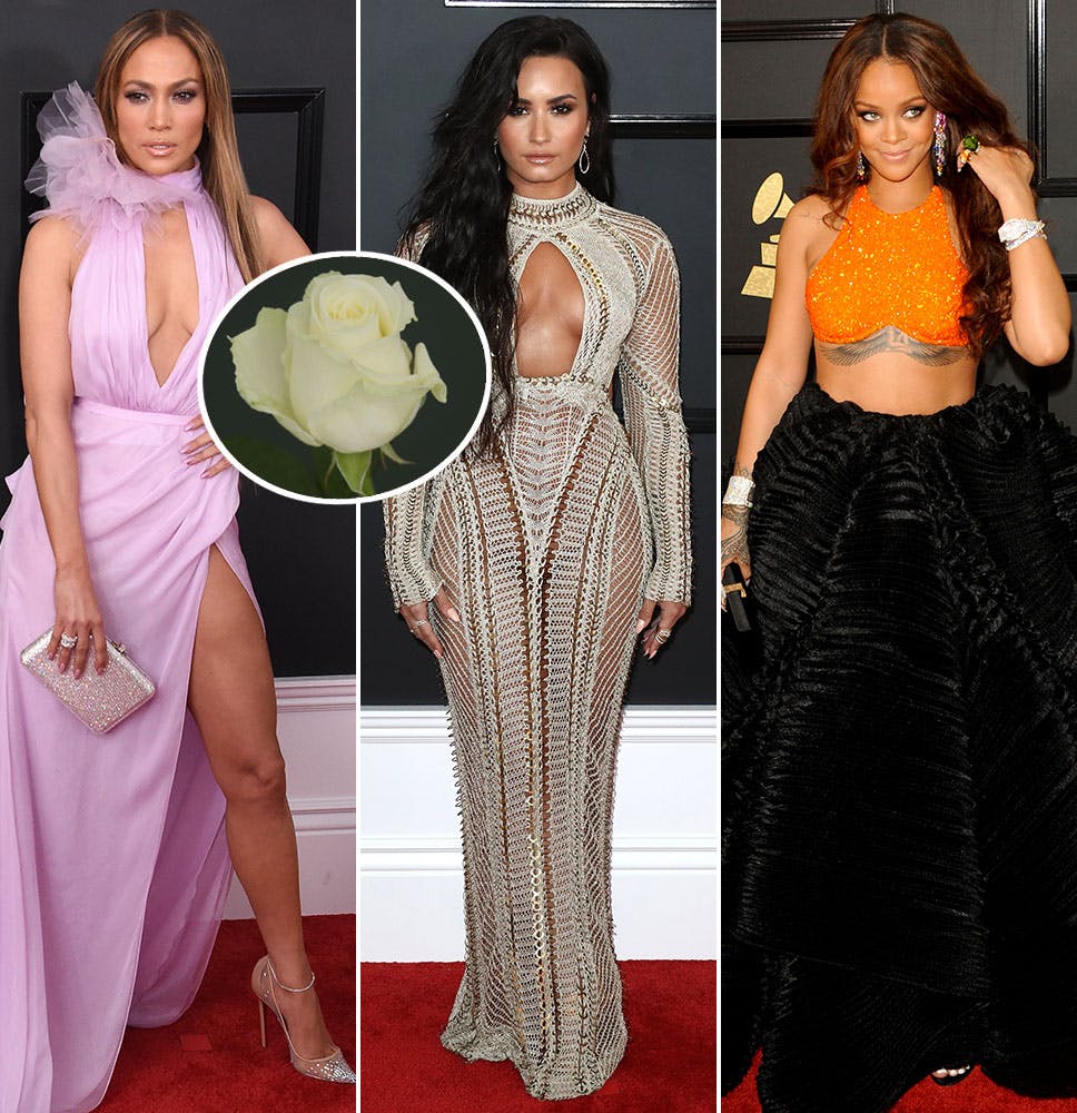 https://imgix.seoghoer.dk/media/article/grammy-hvidrose.jpg
