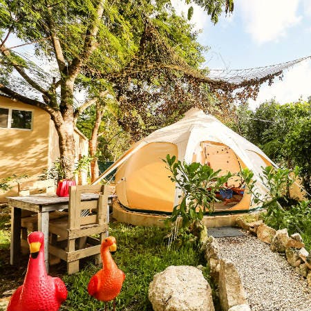 https://imgix.seoghoer.dk/media/article/harmony_glamping_low_res_only_permission_for_dk.jpg