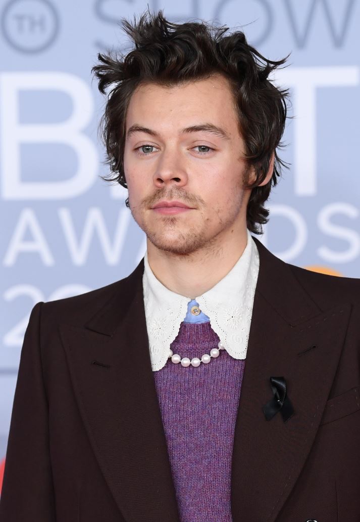 https://imgix.seoghoer.dk/media/article/harry-styles_0.jpg