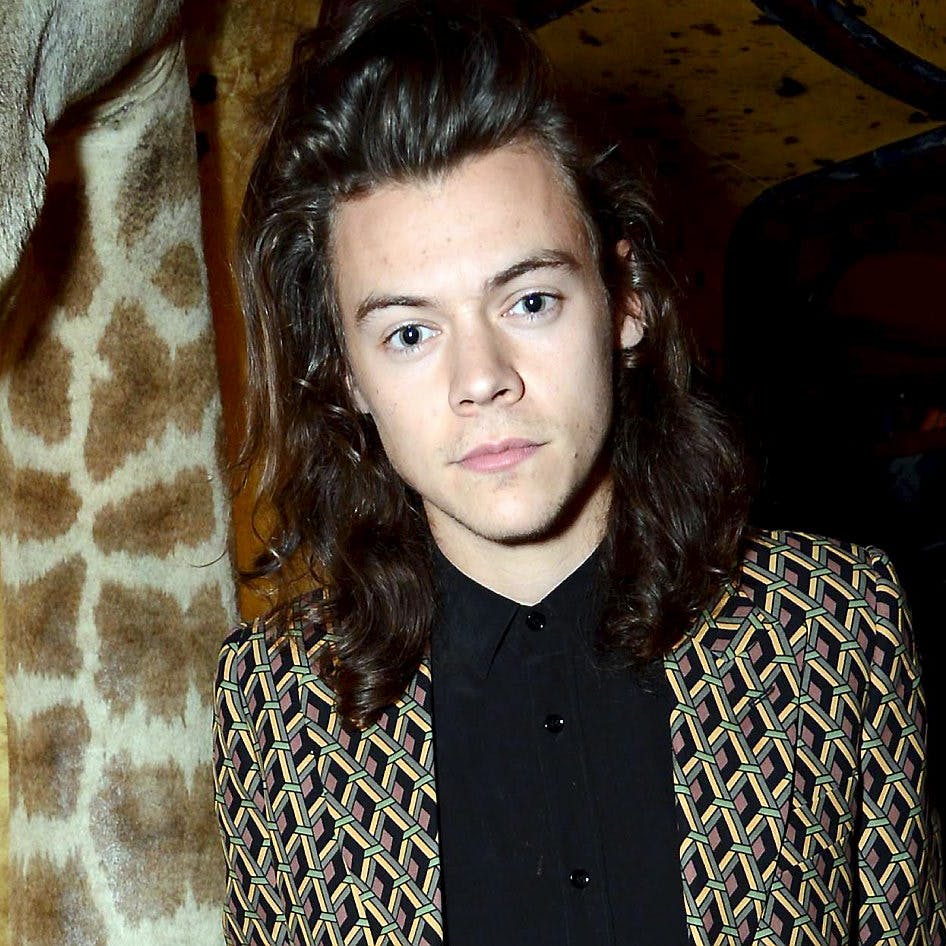 https://imgix.seoghoer.dk/media/article/harry_styles.jpg