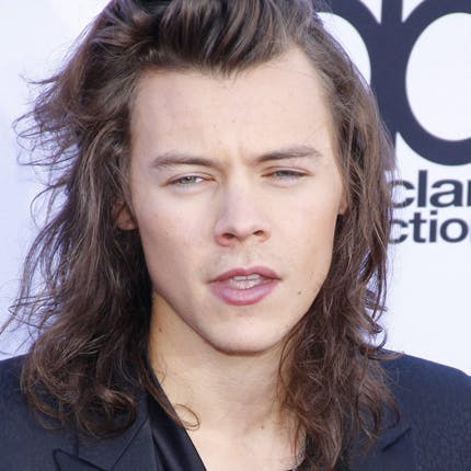 https://imgix.seoghoer.dk/media/article/harry_styles_1.jpg