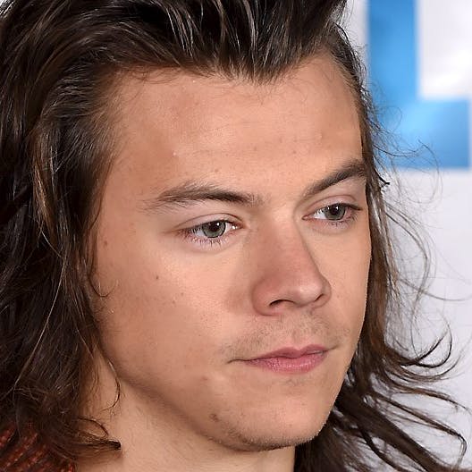 https://imgix.seoghoer.dk/media/article/harry_styles_aop_-_web1.jpg