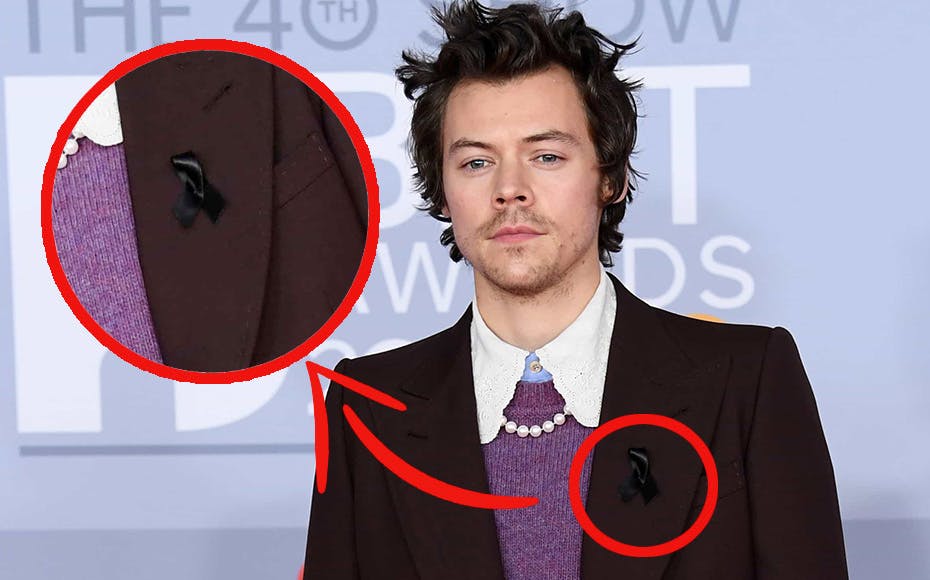 https://imgix.seoghoer.dk/media/article/harrystyles.jpg