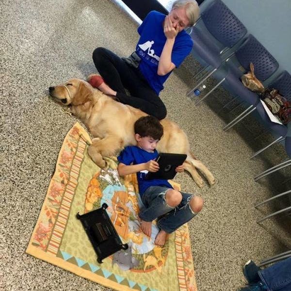 https://imgix.seoghoer.dk/media/article/hund_og_autistisk_dreng.jpg