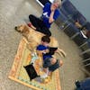 https://imgix.seoghoer.dk/media/article/hund_og_autistisk_dreng.jpg