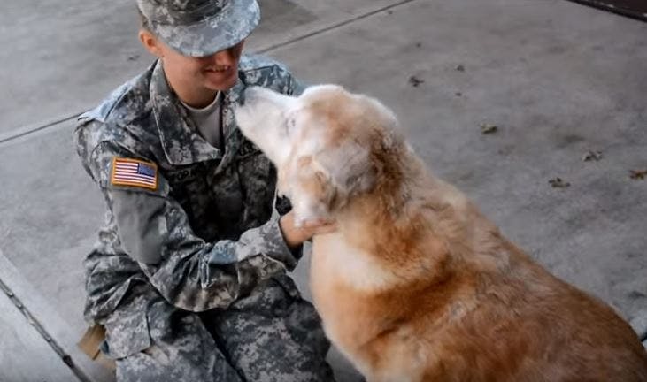 https://imgix.seoghoer.dk/media/article/hund_og_soldat_genser_hinanden.jpg