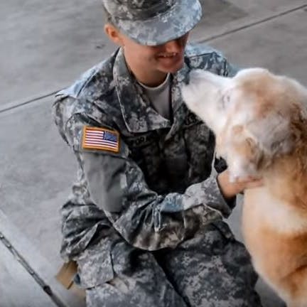 https://imgix.seoghoer.dk/media/article/hund_og_soldat_genser_hinanden.jpg