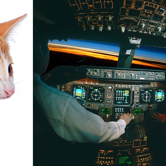 https://imgix.seoghoer.dk/media/article/kat_i_cockpit.jpg