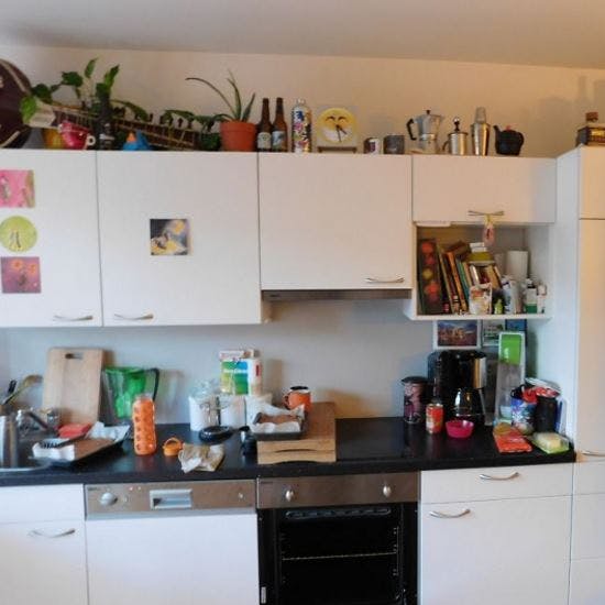 https://imgix.seoghoer.dk/media/article/katten-pedro-i-koekkenet.jpg