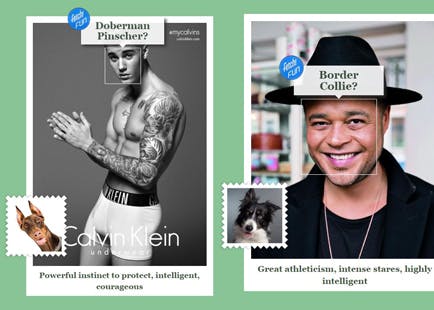 https://imgix.seoghoer.dk/media/article/kendte_som_hunde.jpg