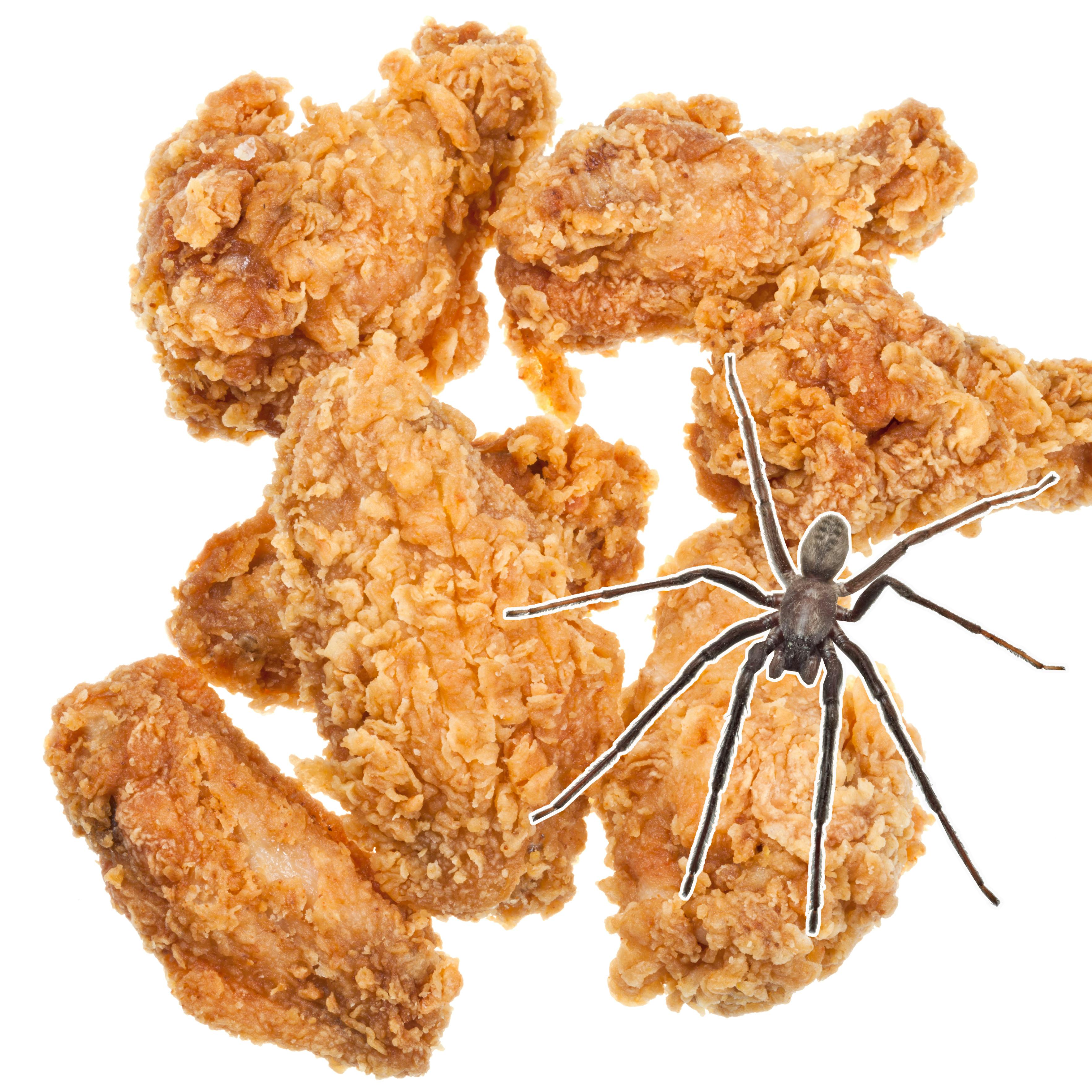 https://imgix.seoghoer.dk/media/article/kfc-edderkop.jpg