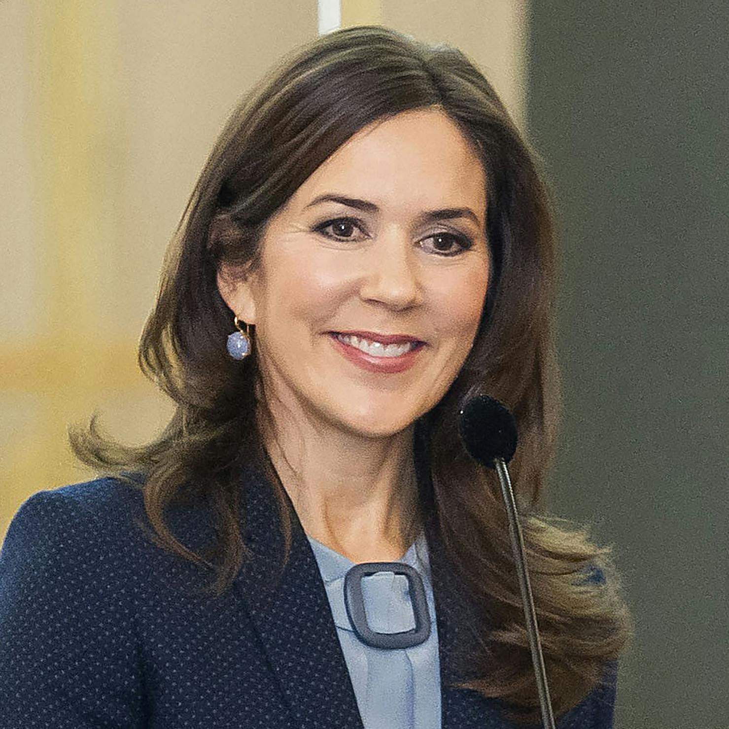 https://imgix.seoghoer.dk/media/article/kronprinsesse_mary_hjo.jpg