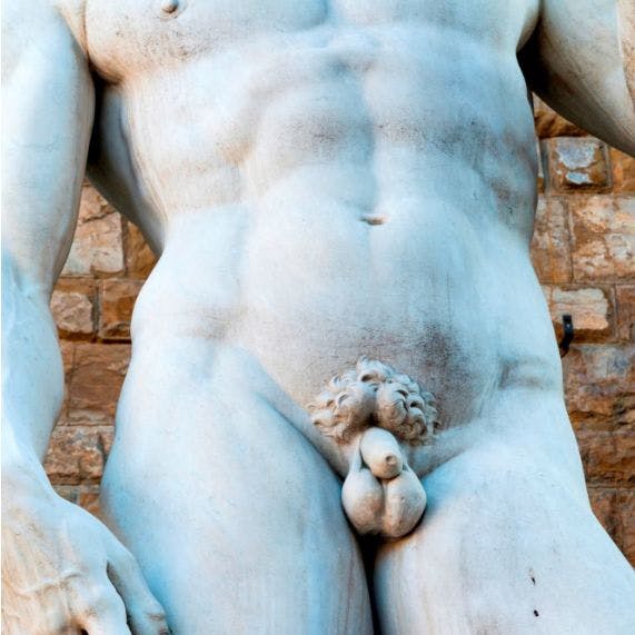 https://imgix.seoghoer.dk/media/article/lille_penis_1.jpg