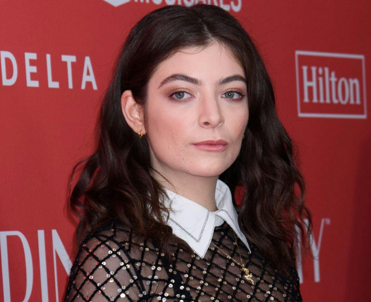 https://imgix.seoghoer.dk/media/article/lorde-singer.jpg