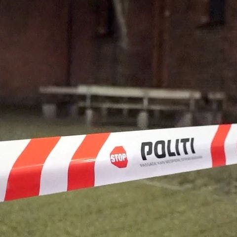 https://imgix.seoghoer.dk/media/article/minestrimmel-politi1_8.jpg
