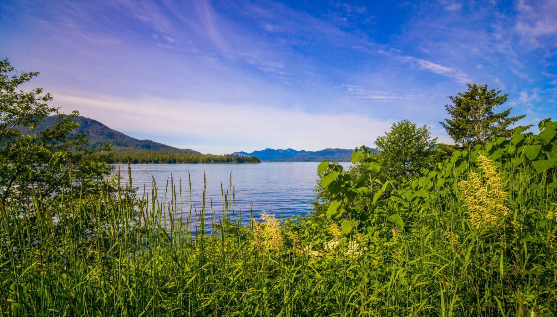 https://imgix.seoghoer.dk/media/article/misty_fjords.jpg