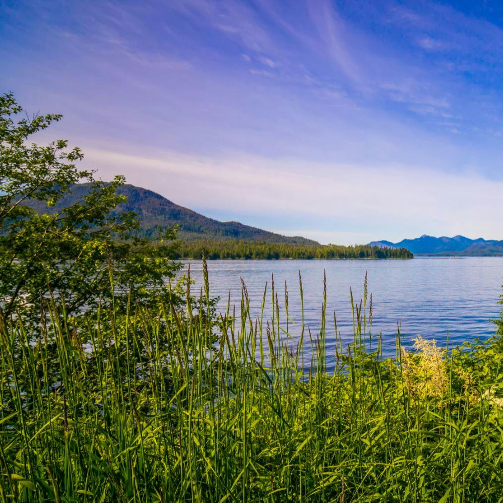 https://imgix.seoghoer.dk/media/article/misty_fjords.jpg