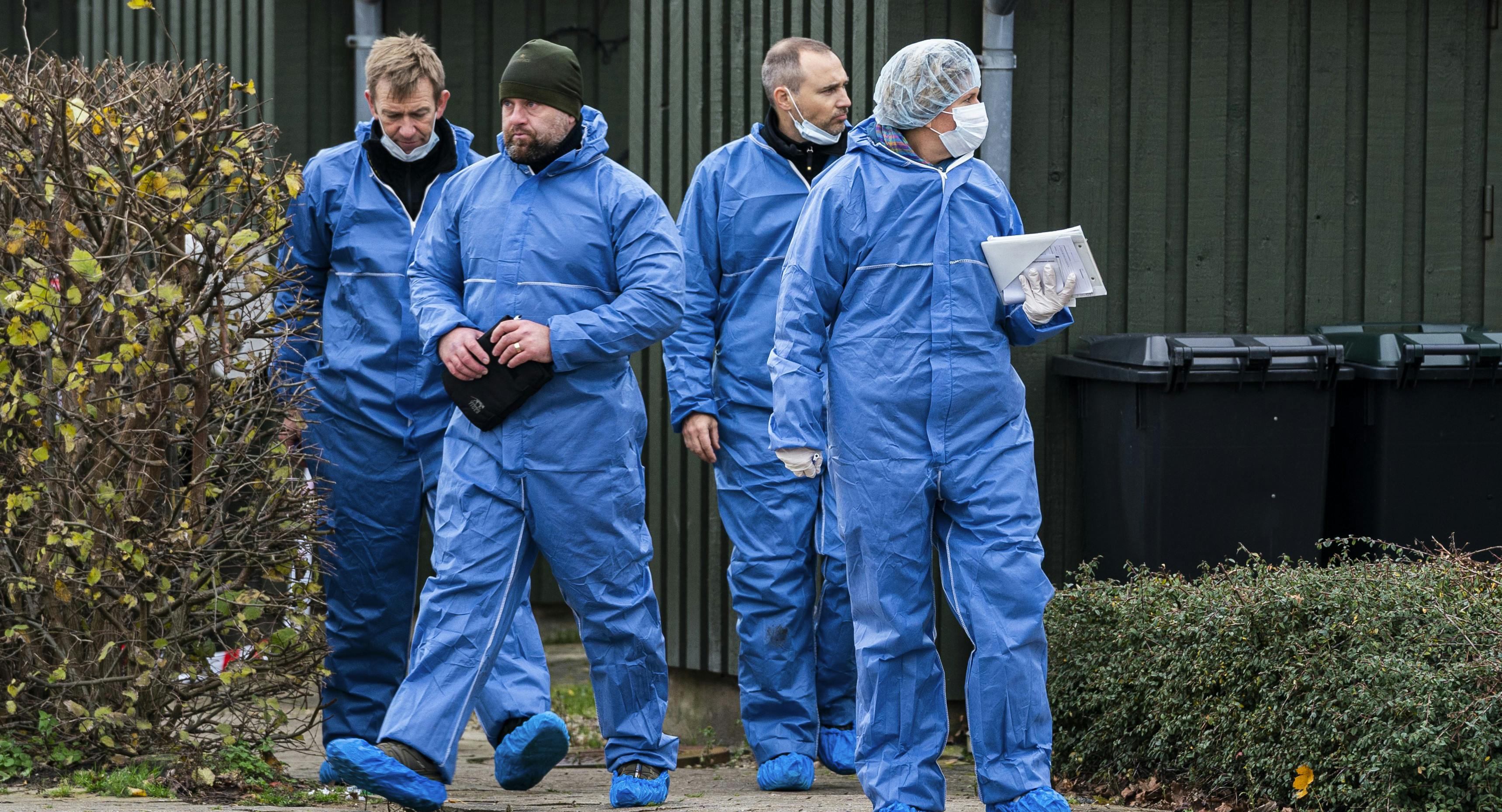 https://imgix.seoghoer.dk/media/article/morten_5_0.jpg