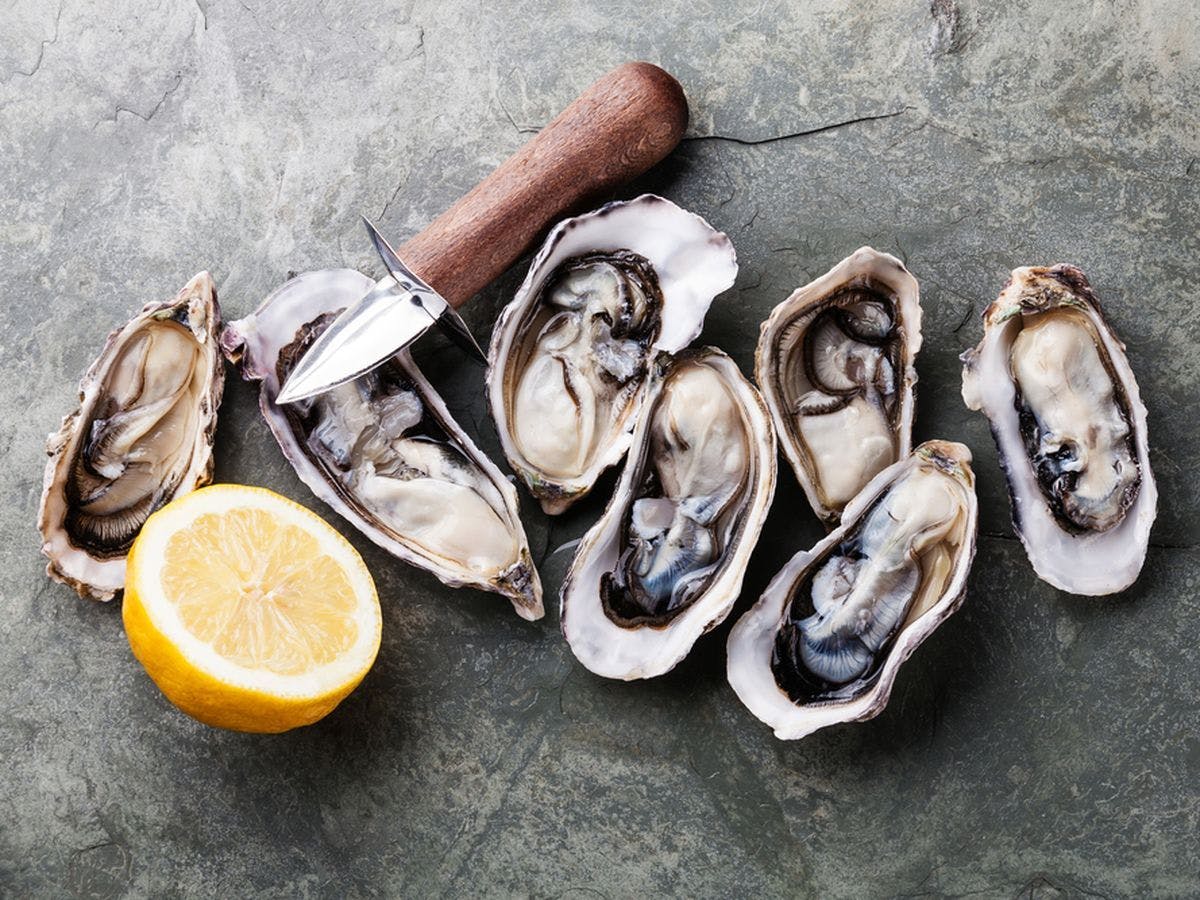 https://imgix.seoghoer.dk/media/article/oesters.jpg