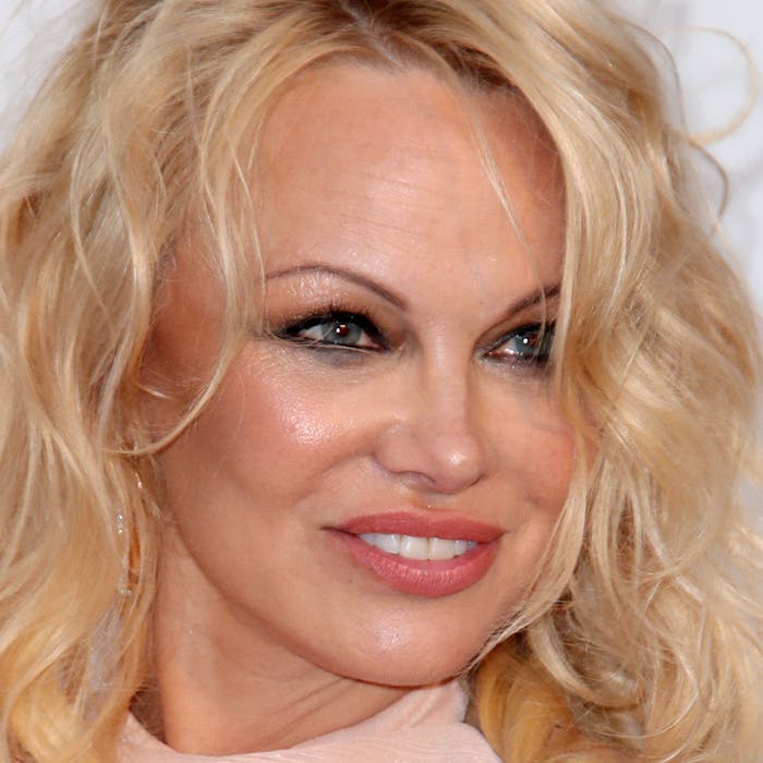 https://imgix.seoghoer.dk/media/article/pamela_anderson_0.jpg