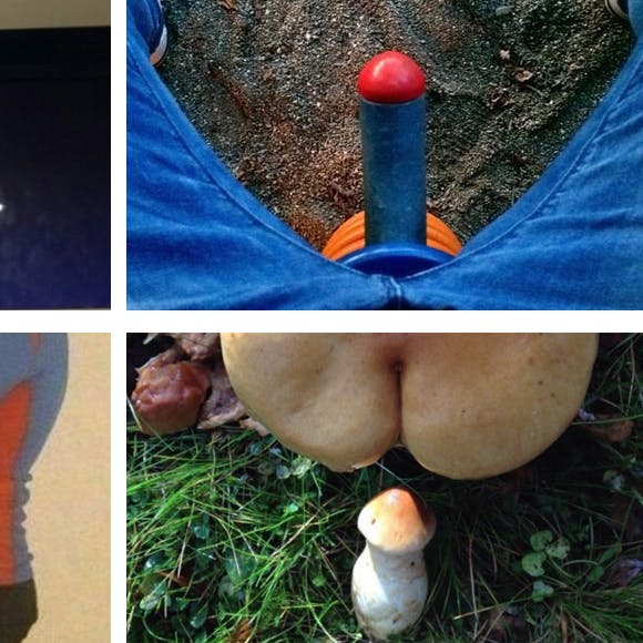 https://imgix.seoghoer.dk/media/article/penis.jpg