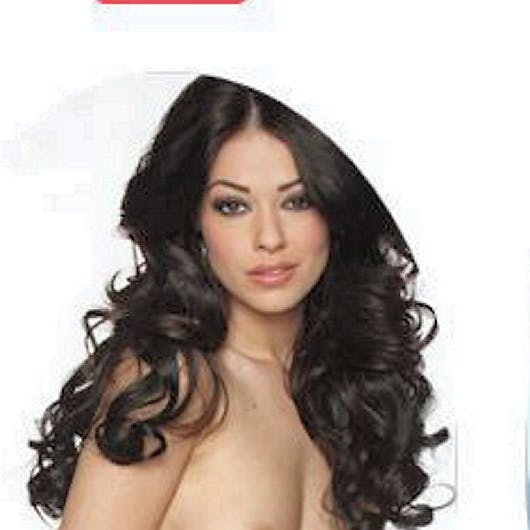 https://imgix.seoghoer.dk/media/article/pornoafstemning_3.jpg