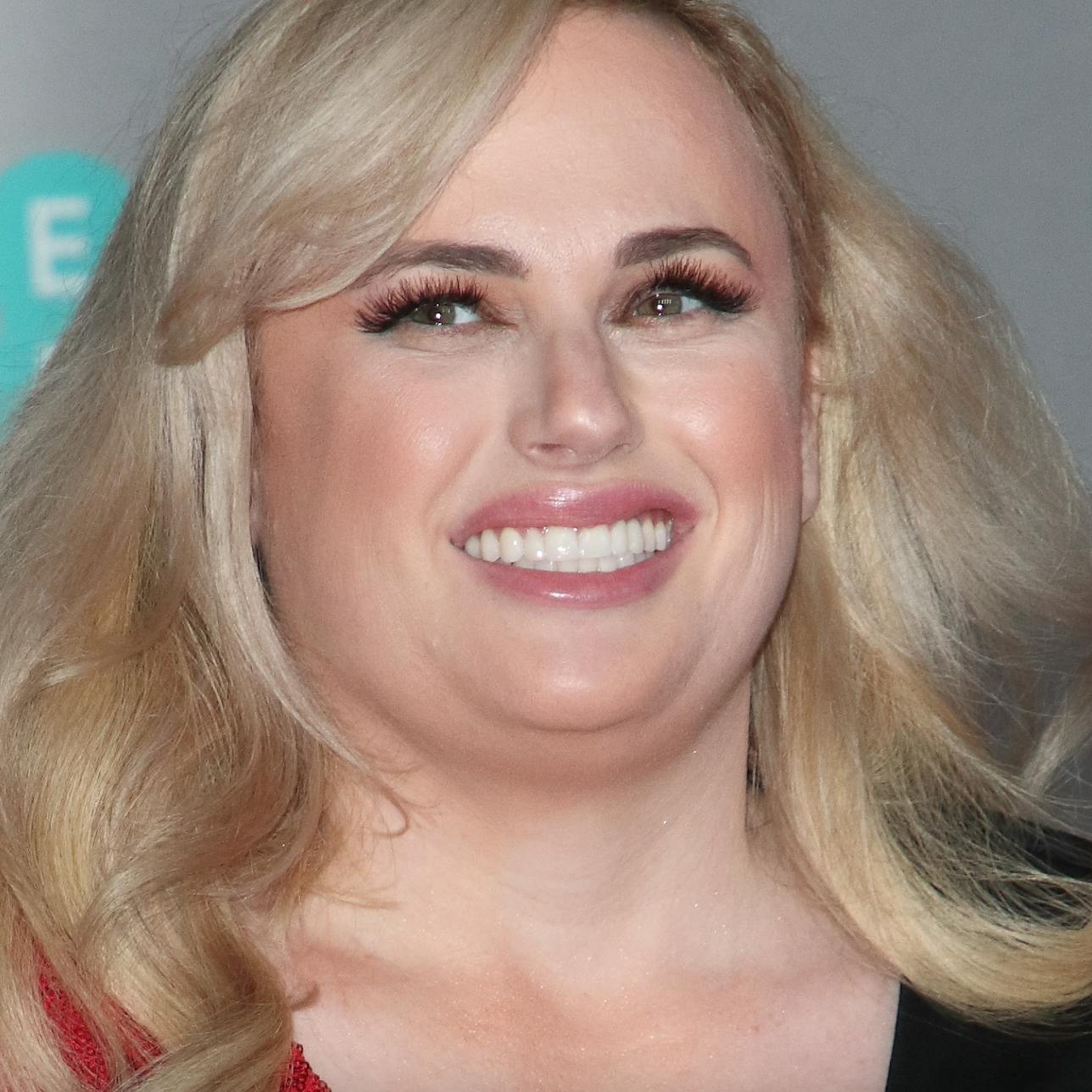 https://imgix.seoghoer.dk/media/article/rebel_wilson.png