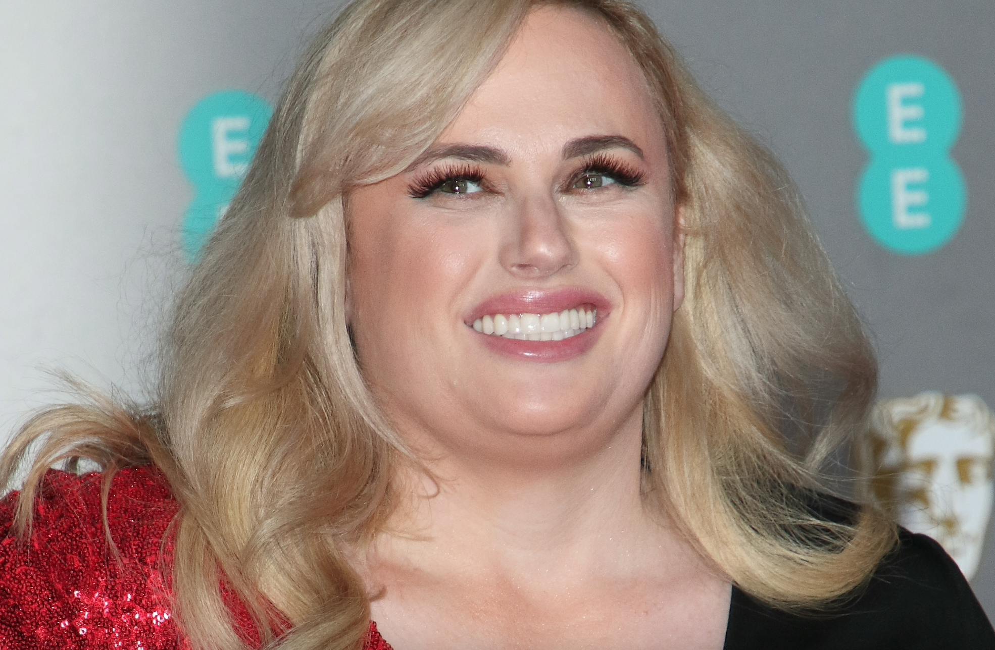 https://imgix.seoghoer.dk/media/article/rebel_wilson.png