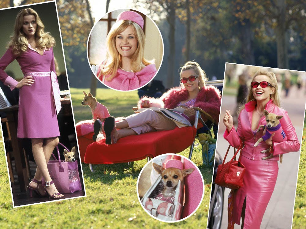 https://imgix.seoghoer.dk/media/article/reese_witherspoon_klar_til_blondinens_haevn_3.jpg