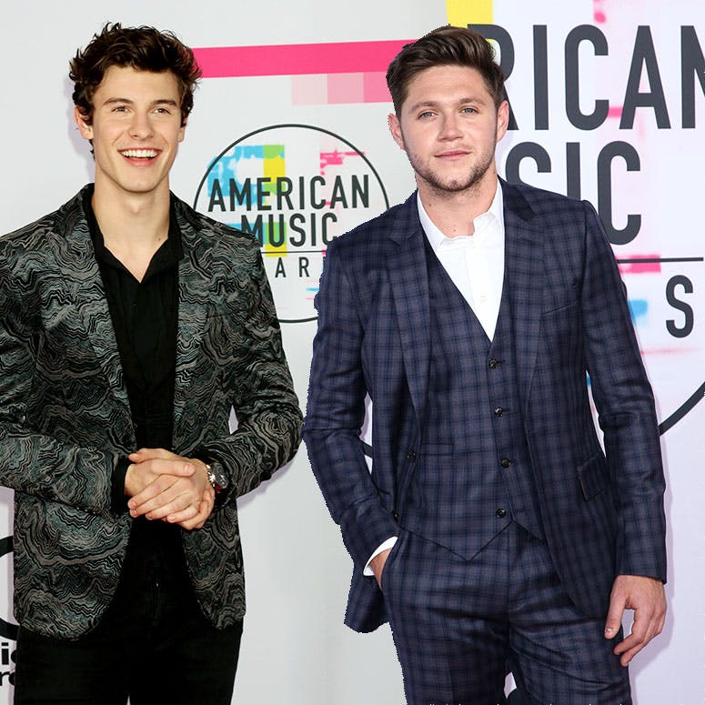 https://imgix.seoghoer.dk/media/article/shawn-mendes-niall-horan.jpg