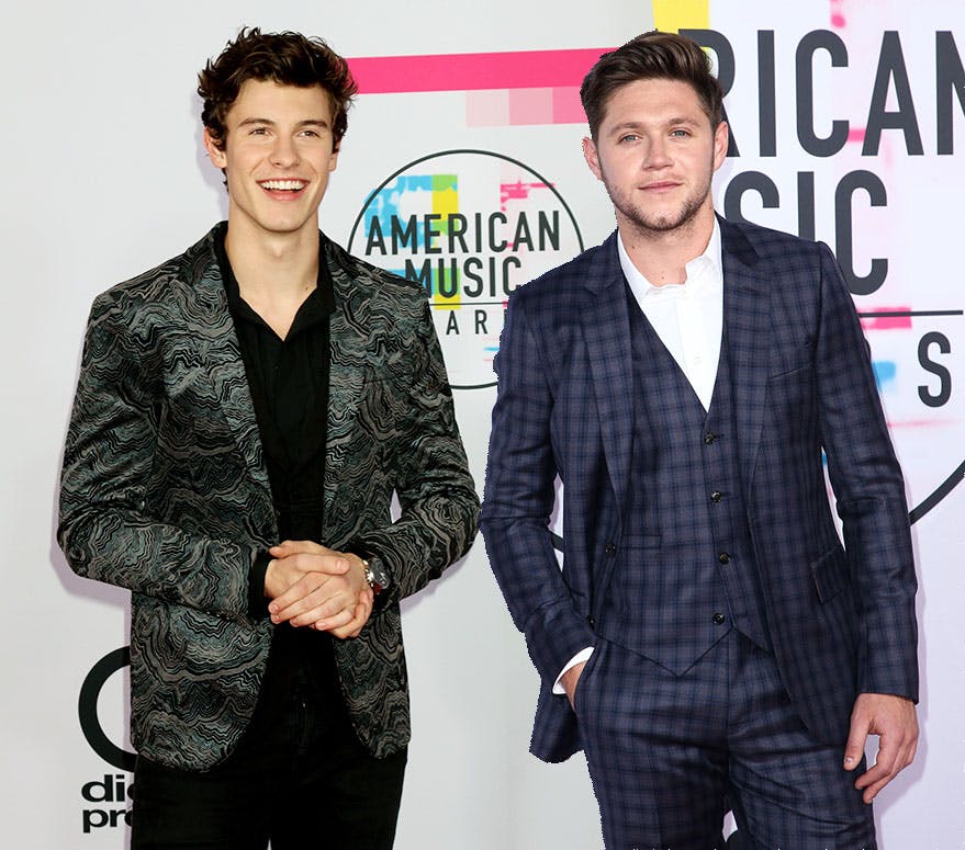 https://imgix.seoghoer.dk/media/article/shawn-mendes-niall-horan.jpg