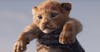 https://imgix.seoghoer.dk/media/article/simba-in-the-lion-king-2019-remake-1280x670.jpg