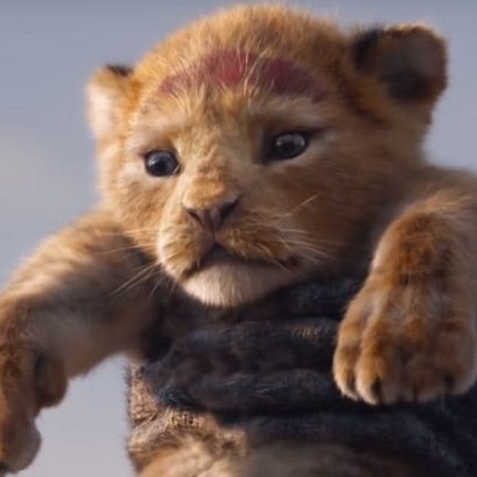 https://imgix.seoghoer.dk/media/article/simba-in-the-lion-king-2019-remake-1280x670.jpg