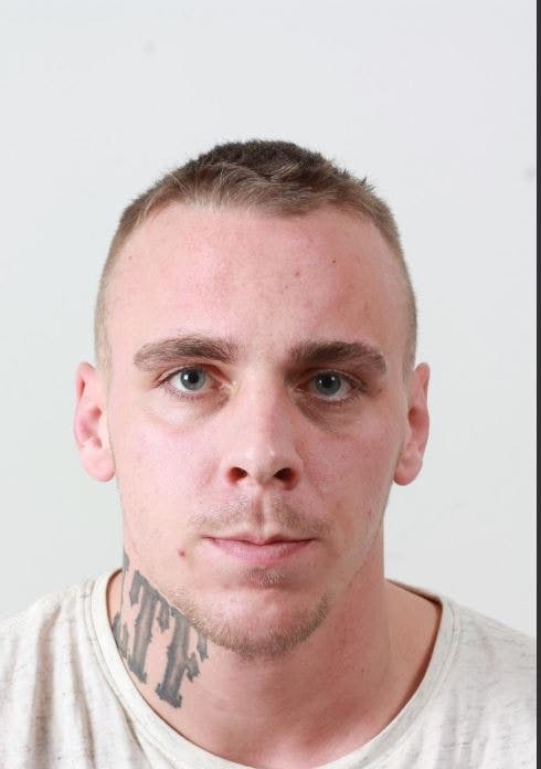 https://imgix.seoghoer.dk/media/article/stefan.jpg