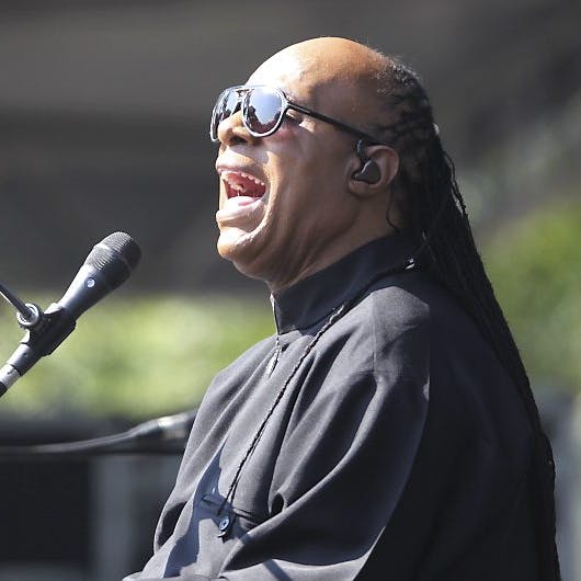 https://imgix.seoghoer.dk/media/article/stevie_wonder_aop_2.jpg