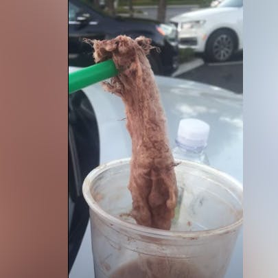 https://imgix.seoghoer.dk/media/article/tampon-starbucks.jpg