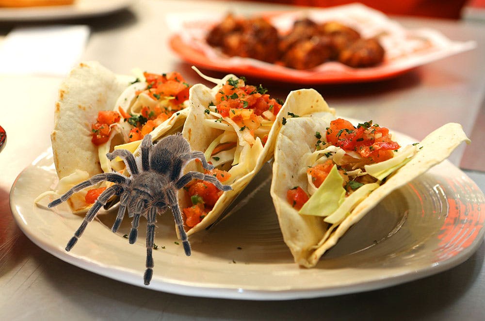 https://imgix.seoghoer.dk/media/article/tarantel-taco.jpg