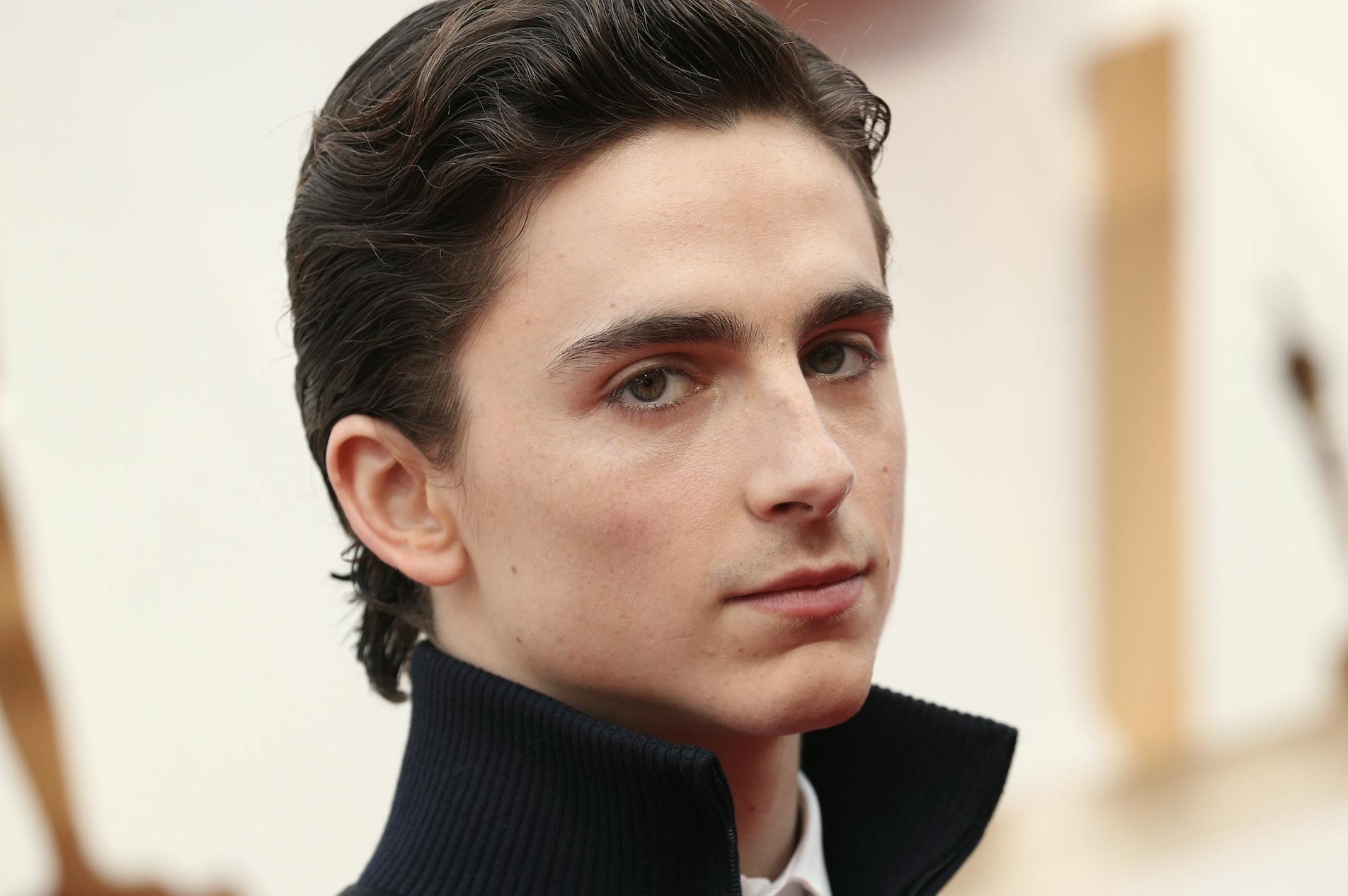 https://imgix.seoghoer.dk/media/article/timothee_chalamet.png