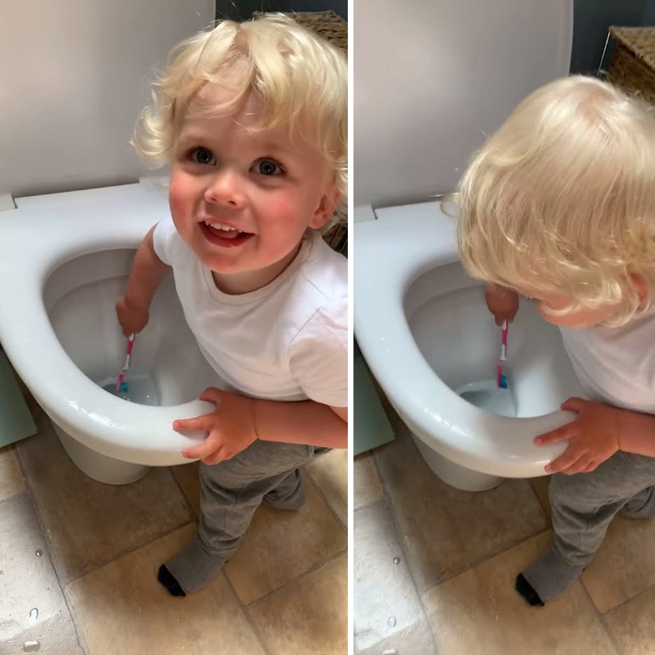 https://imgix.seoghoer.dk/media/article/toilet.jpg