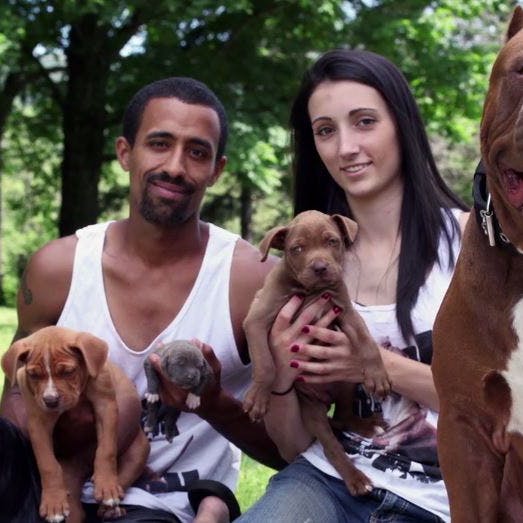 https://imgix.seoghoer.dk/media/article/verdens_stoerste_pitbull_har_faaet_endnu_et_kuld_hvalpe.jpg