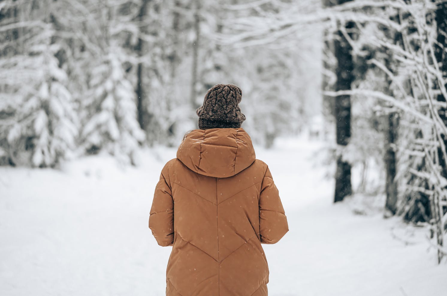 https://imgix.seoghoer.dk/media/article/vinter.png