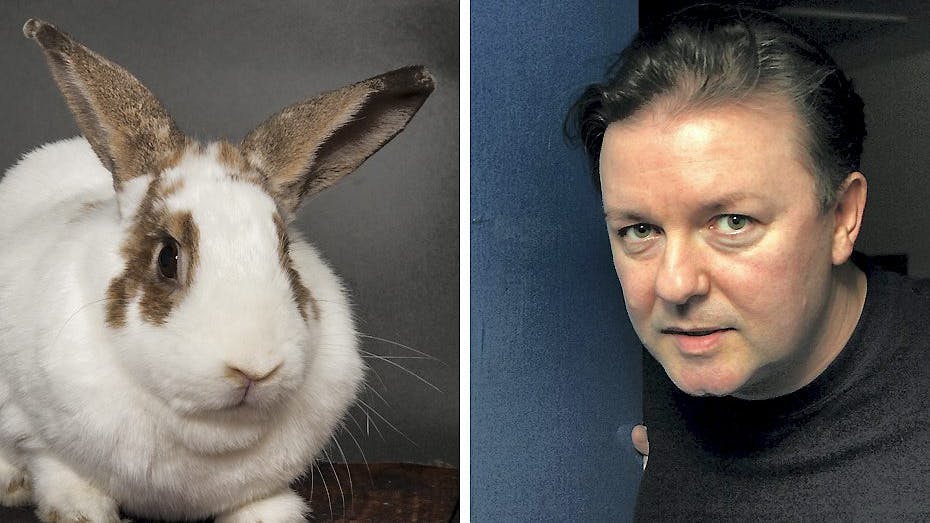 https://imgix.seoghoer.dk/media/article/web1_ricky_gervais_kanin_aop.jpg