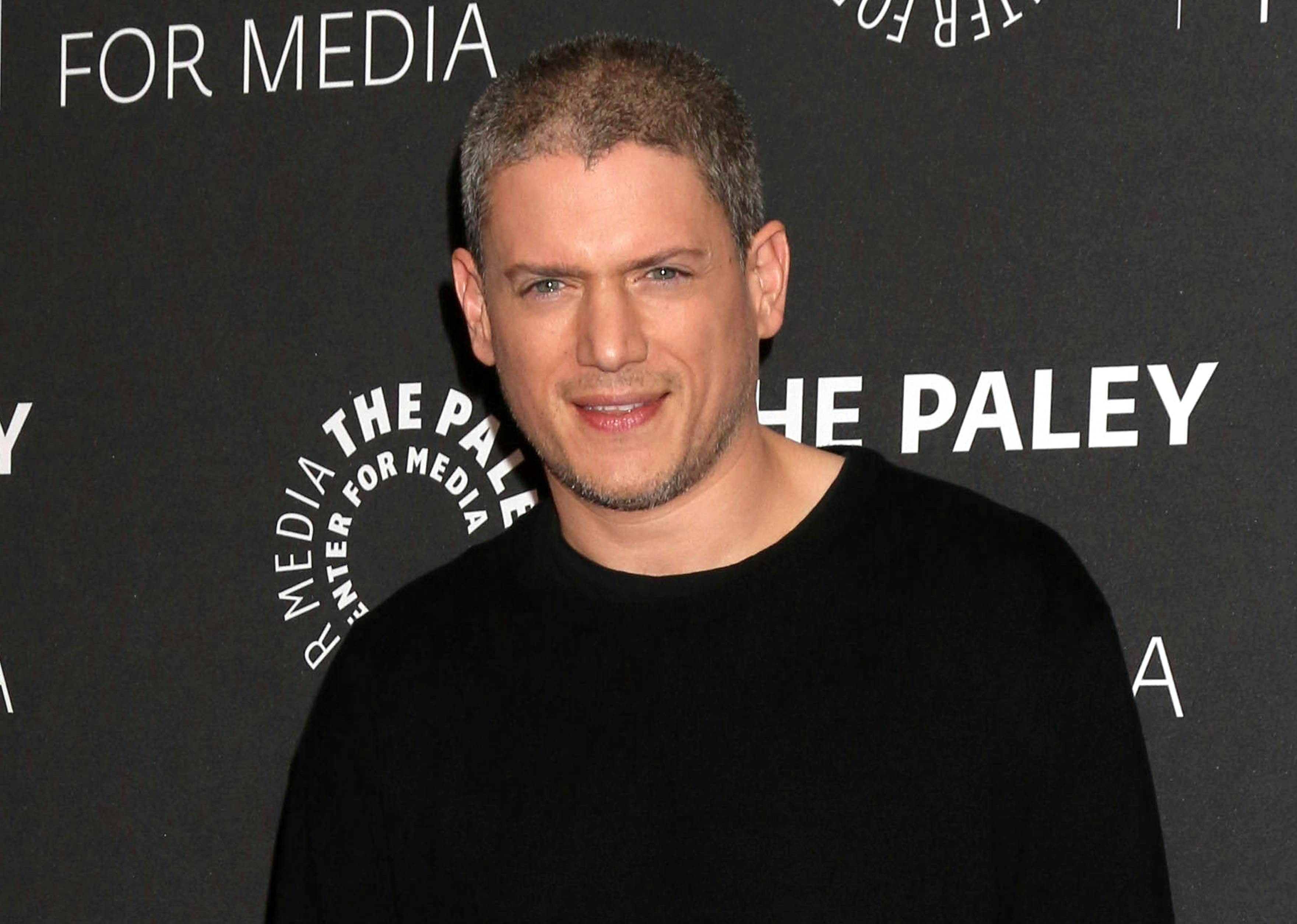 https://imgix.seoghoer.dk/media/article/wentworth_miller.jpg