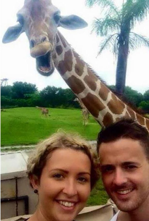 https://imgix.seoghoer.dk/media/article/zoo_selfie.jpg