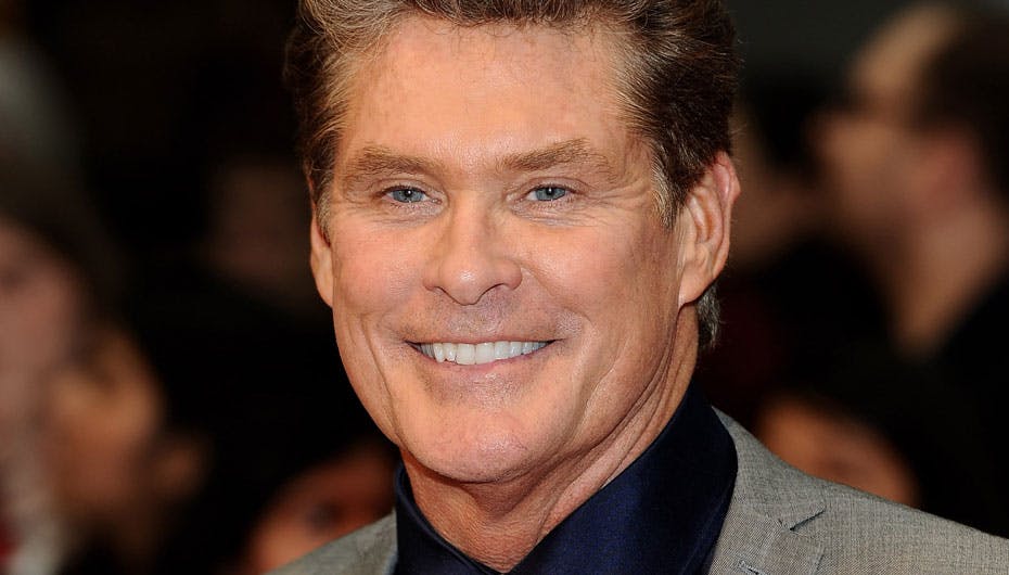 David Hasselhoff skal spille pornostjerne i en tv-serie