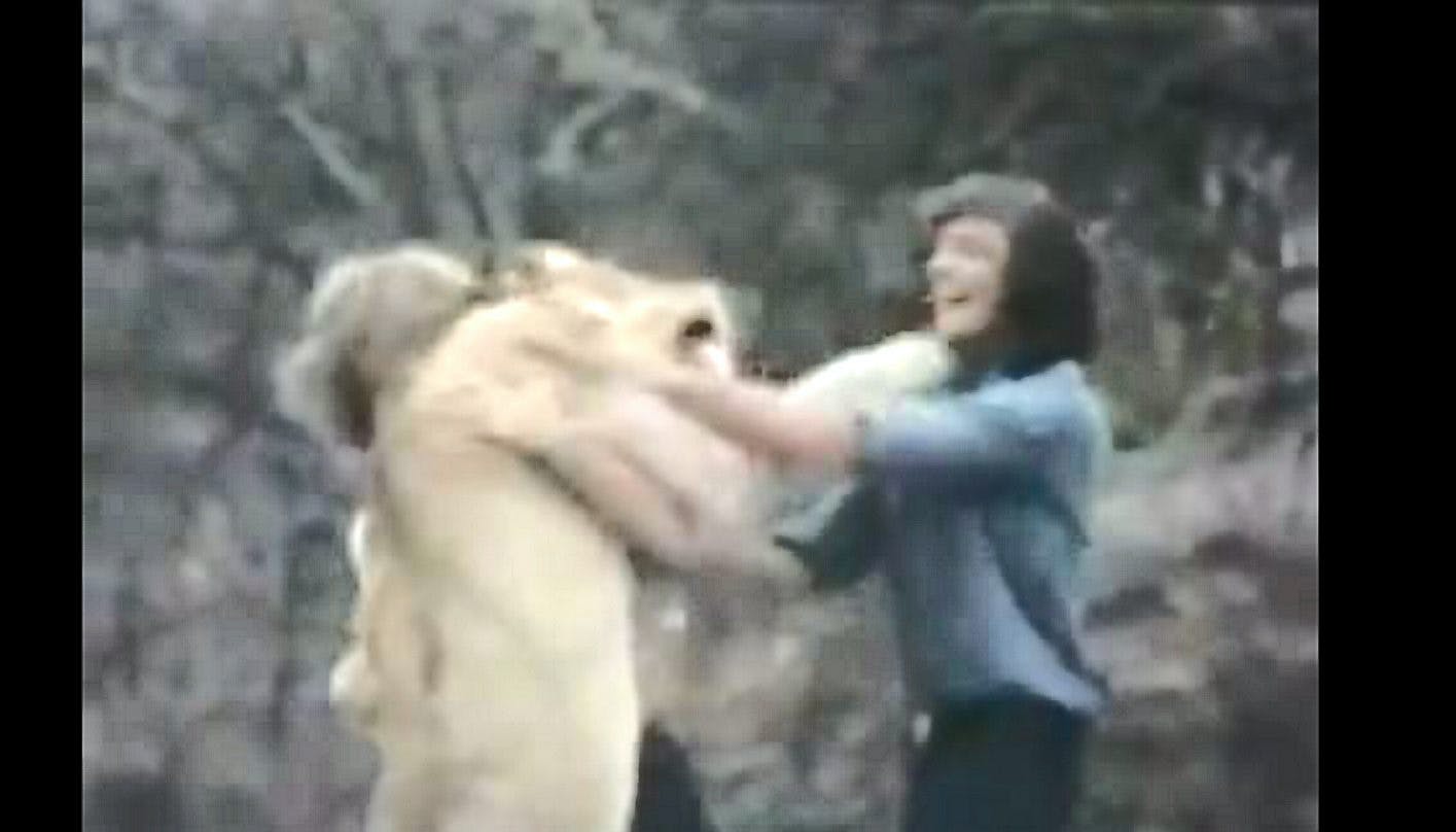 Over 18 millioner mennesker verden over har set klippet med "Christian the Lion"