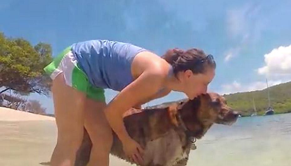 Se, hvor langt Morgan og Zach går for at redde deres hund Sheridan