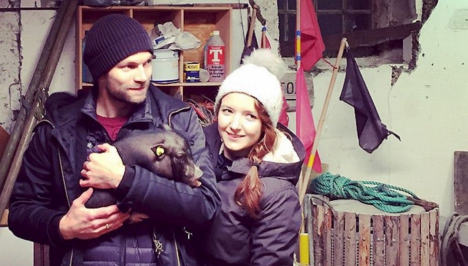 Thomas Skov med kælegrisen Otto og konen Emilie lige efter de havde besluttet sig for at lade grisen leve